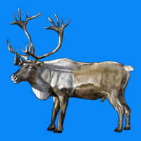 Reindeer Buck Deer Zipper Hoodie | Teevron