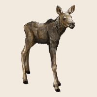 Moose Fawn Deer Zipper Hoodie | Teevron