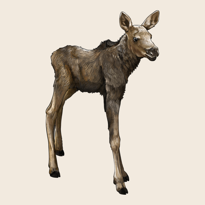 Moose Fawn Deer Zipper Hoodie by LillyAllenDesigns | Teevron
