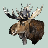 Moose Buck Deer Head Zipper Hoodie | Teevron