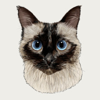 Siamese Face Zipper Hoodie | Teevron