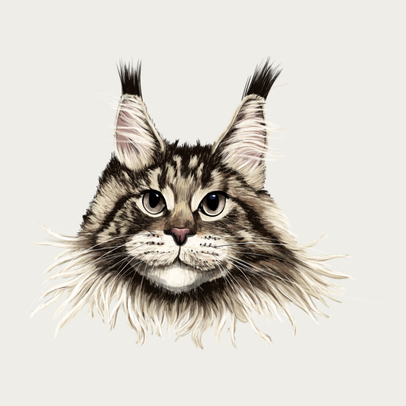 Maine Coon Cat Face Zipper Hoodie by LillyAllenDesigns | Teevron