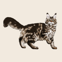 Maine Coon Cat Zipper Hoodie | Teevron