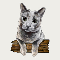 Russian Blue Cat Face Zipper Hoodie | Teevron