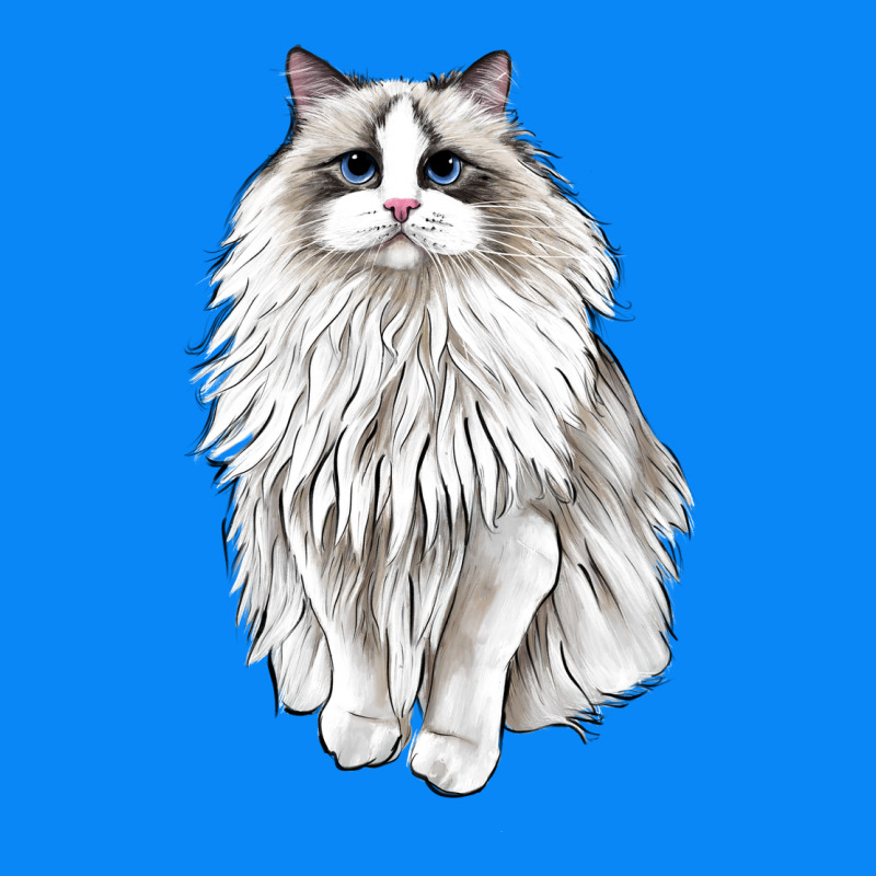 Ragdoll Cat Zipper Hoodie by LillyAllenDesigns | Teevron
