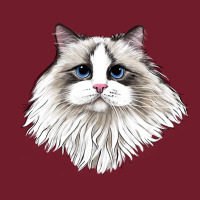Ragdoll Face Cat Zipper Hoodie | Teevron