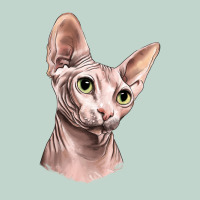 Sphynx Cat Zipper Hoodie | Teevron
