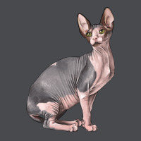Sphynx Cat Zipper Hoodie | Teevron