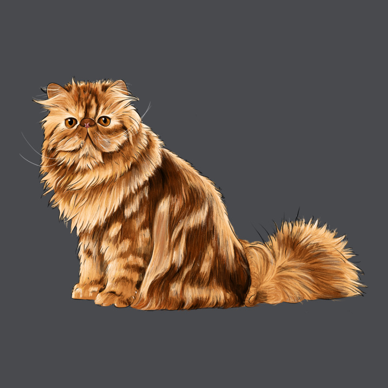 Persian Cat Zipper Hoodie by LillyAllenDesigns | Teevron