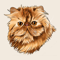 Persian Cat Face Zipper Hoodie | Teevron