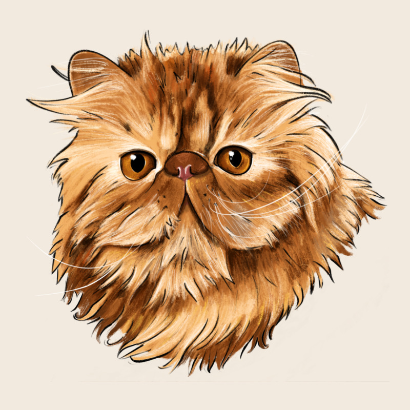 Persian Cat Face Zipper Hoodie by LillyAllenDesigns | Teevron