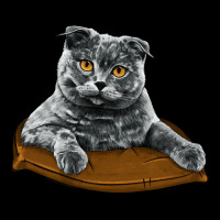 Scottish Fold Zipper Hoodie | Teevron
