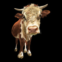 Hereford Heifer Zipper Hoodie | Teevron