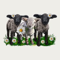 Baby Sheeps With Daisies Zipper Hoodie | Teevron