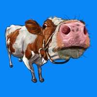 Cute Simmental Cow Zipper Hoodie | Teevron