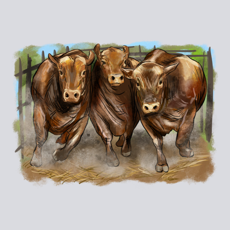 3 Red Angus Bulls Zipper Hoodie by LillyAllenDesigns | Teevron