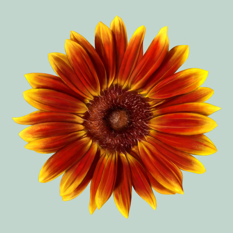 Little Becka Sunflower Zipper Hoodie by LillyAllenDesigns | Teevron