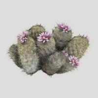 Cob Beehive Cactus Zipper Hoodie | Teevron