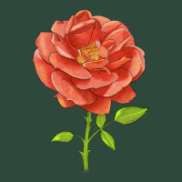 All A Twitter Rose Zipper Hoodie | Teevron