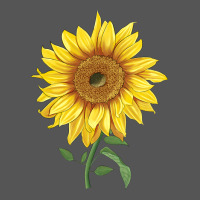 Bambino Sunflower Zipper Hoodie | Teevron