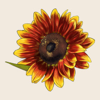 Ring O Fine Sunflower Zipper Hoodie | Teevron