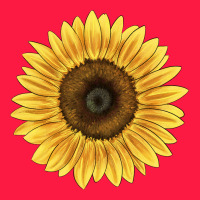 Giganteus Sunflower Zipper Hoodie | Teevron