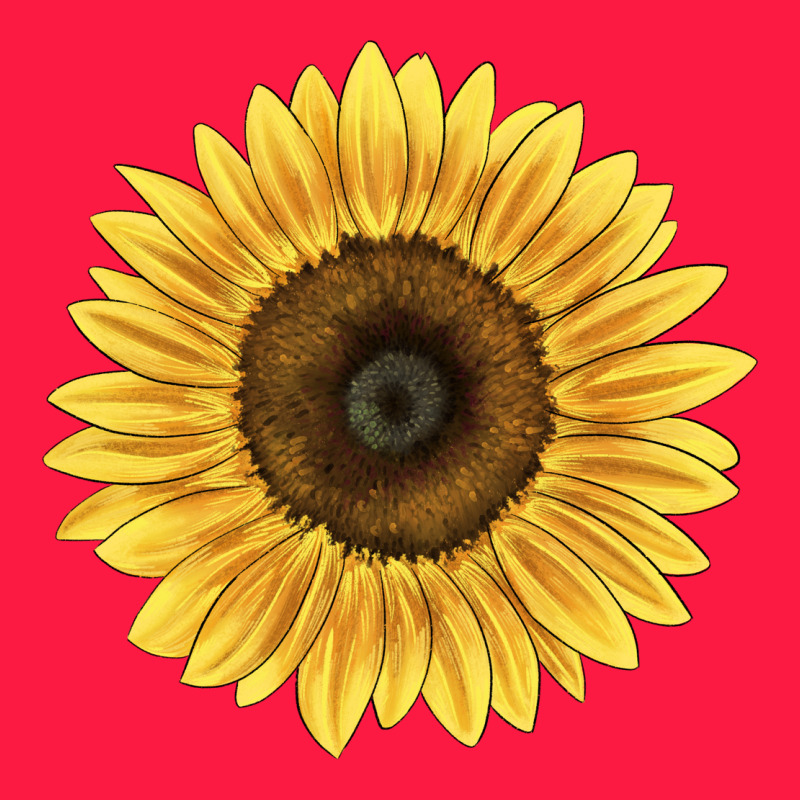 Giganteus Sunflower Zipper Hoodie by LillyAllenDesigns | Teevron