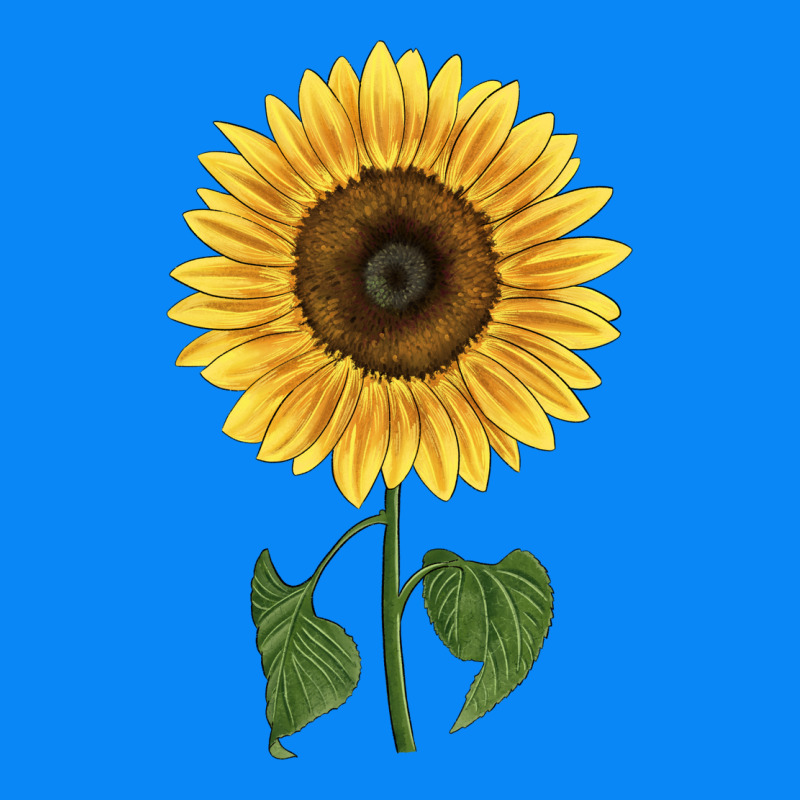 Giganteus Sunflower Zipper Hoodie by LillyAllenDesigns | Teevron