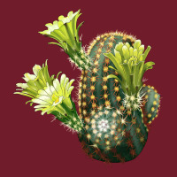 Nylon Hedgehog Cactus Zipper Hoodie | Teevron