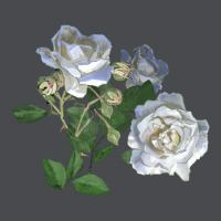 White Dawn Rose Zipper Hoodie | Teevron