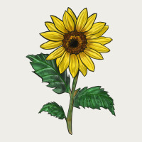 Sunray Yellow Sunflower Zipper Hoodie | Teevron