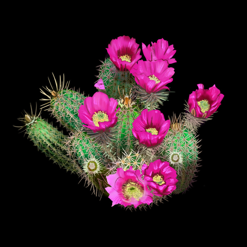 Strawberry Hedgehog Cactus Zipper Hoodie by LillyAllenDesigns | Teevron
