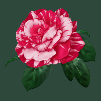 Neil Diamond Rose Zipper Hoodie | Teevron