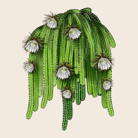 Selenicereus Cactus Zipper Hoodie | Teevron
