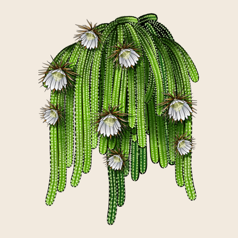 Selenicereus Cactus Zipper Hoodie by LillyAllenDesigns | Teevron