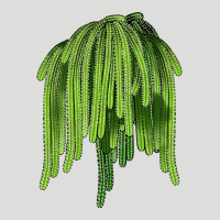Selenicereus Cactus Zipper Hoodie | Teevron