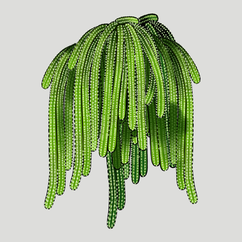 Selenicereus Cactus Zipper Hoodie by LillyAllenDesigns | Teevron
