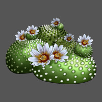 Blossfeldia Cactus Zipper Hoodie | Teevron