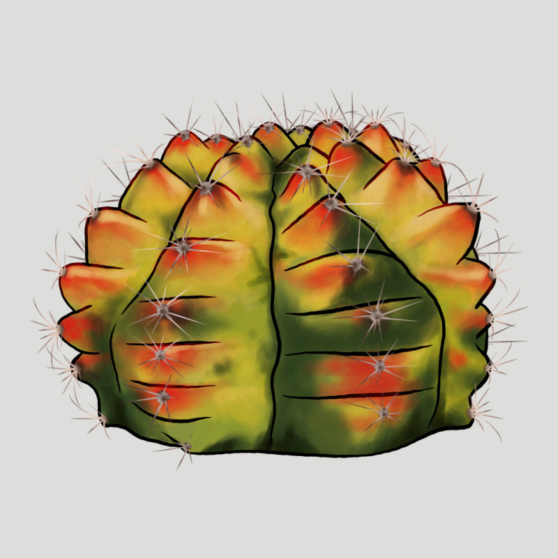 Gymnocalycium Variegated Cactus Zipper Hoodie by LillyAllenDesigns | Teevron