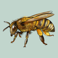 Bee Side Zipper Hoodie | Teevron