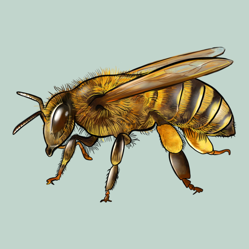 Bee Side Zipper Hoodie by LillyAllenDesigns | Teevron