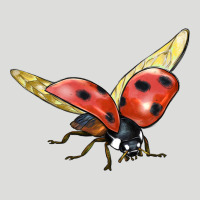 Ladybug Flying Zipper Hoodie | Teevron