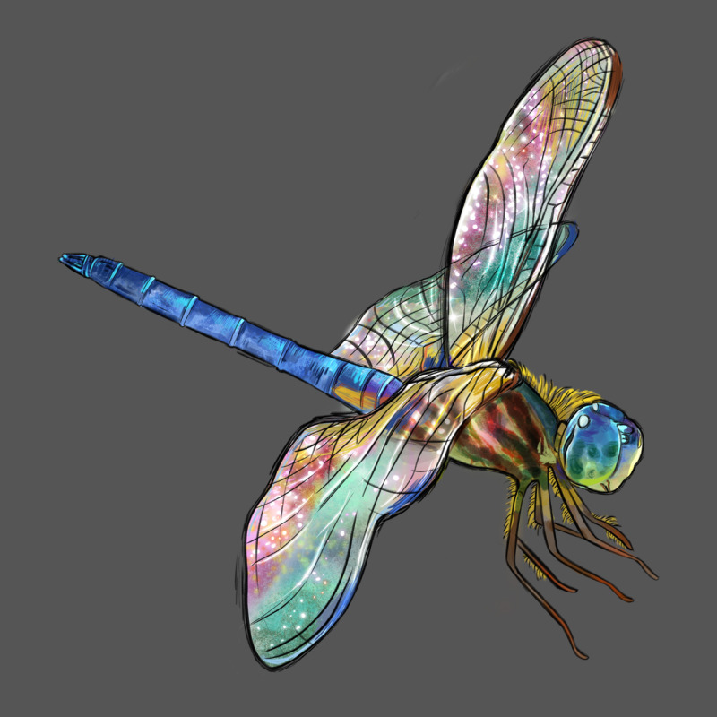 Dragon Fly Zipper Hoodie by LillyAllenDesigns | Teevron