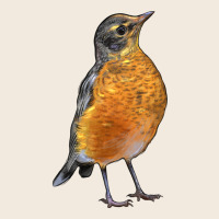 American Robin Bird Zipper Hoodie | Teevron