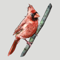 Northern Cardinal Bird Zipper Hoodie | Teevron