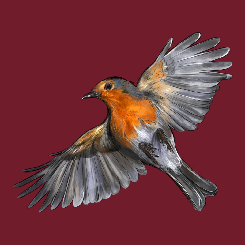 Flying American Robin Zipper Hoodie by LillyAllenDesigns | Teevron