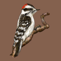 Downy Woodpecker Zipper Hoodie | Teevron