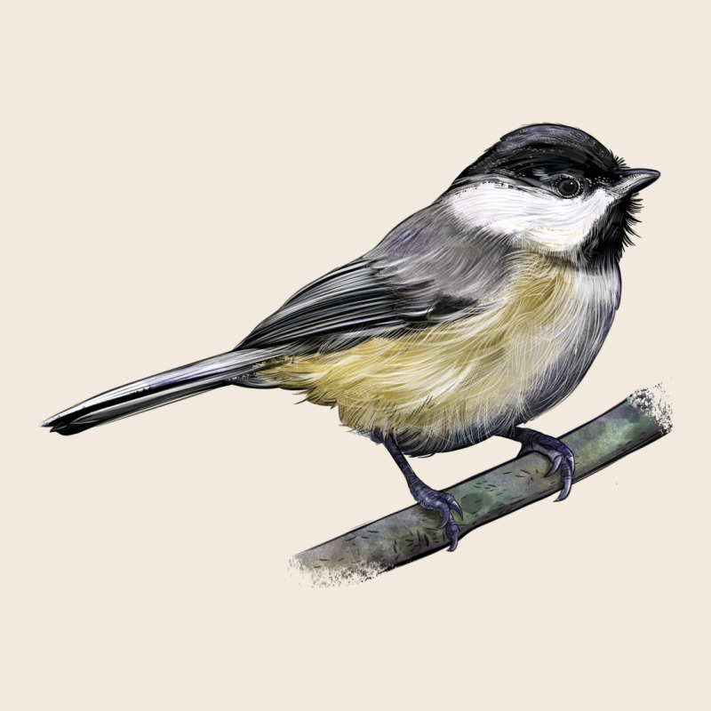 Black Capped Chickadee Zipper Hoodie by LillyAllenDesigns | Teevron