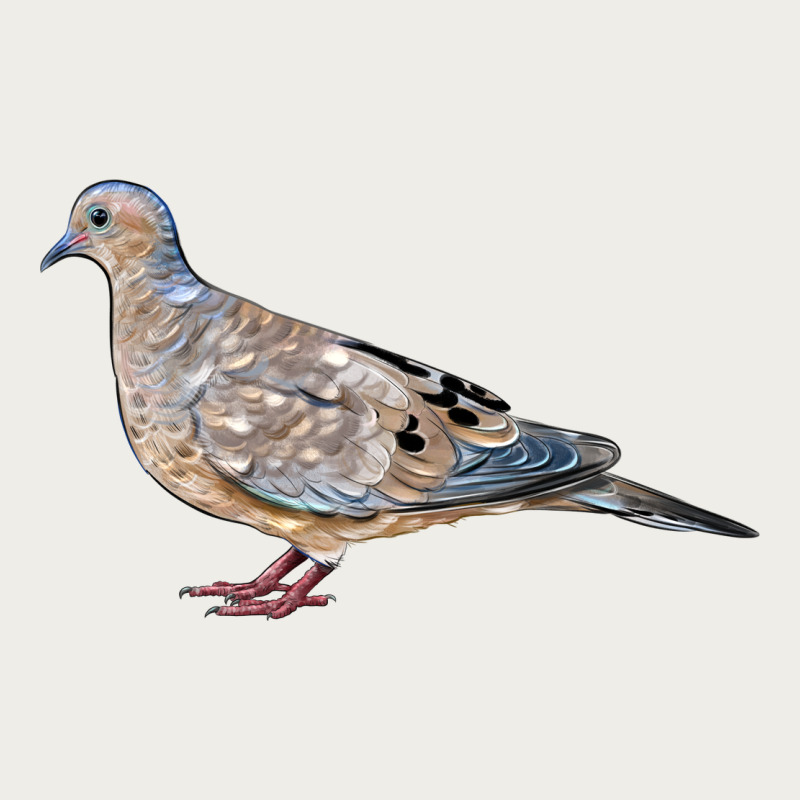 American Dove Zipper Hoodie by LillyAllenDesigns | Teevron