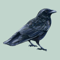 American Crow Zipper Hoodie | Teevron